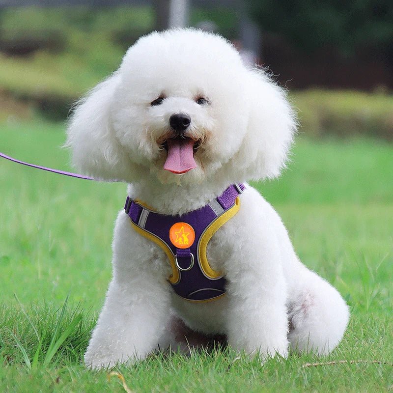 Dogs Harness Vest Walking Traction Rope Reflective Straps Soft Mesh - Pawtique
