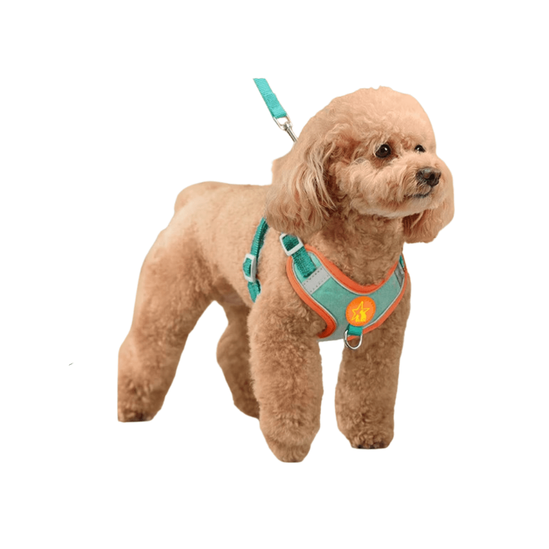 Dogs Harness Vest Walking Traction Rope Reflective Straps Soft Mesh - Pawtique