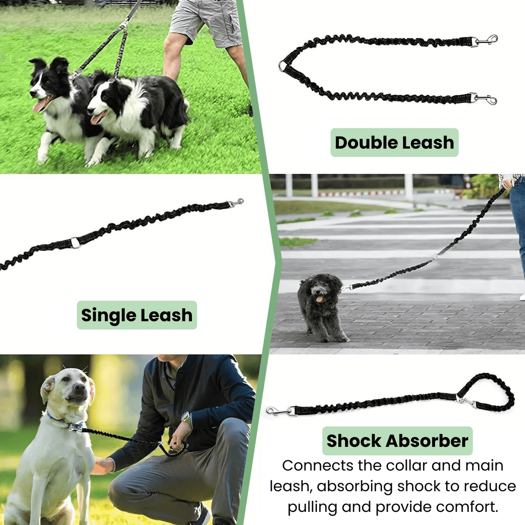 Double Dog Leash - Shock Absorbing - Pawtique