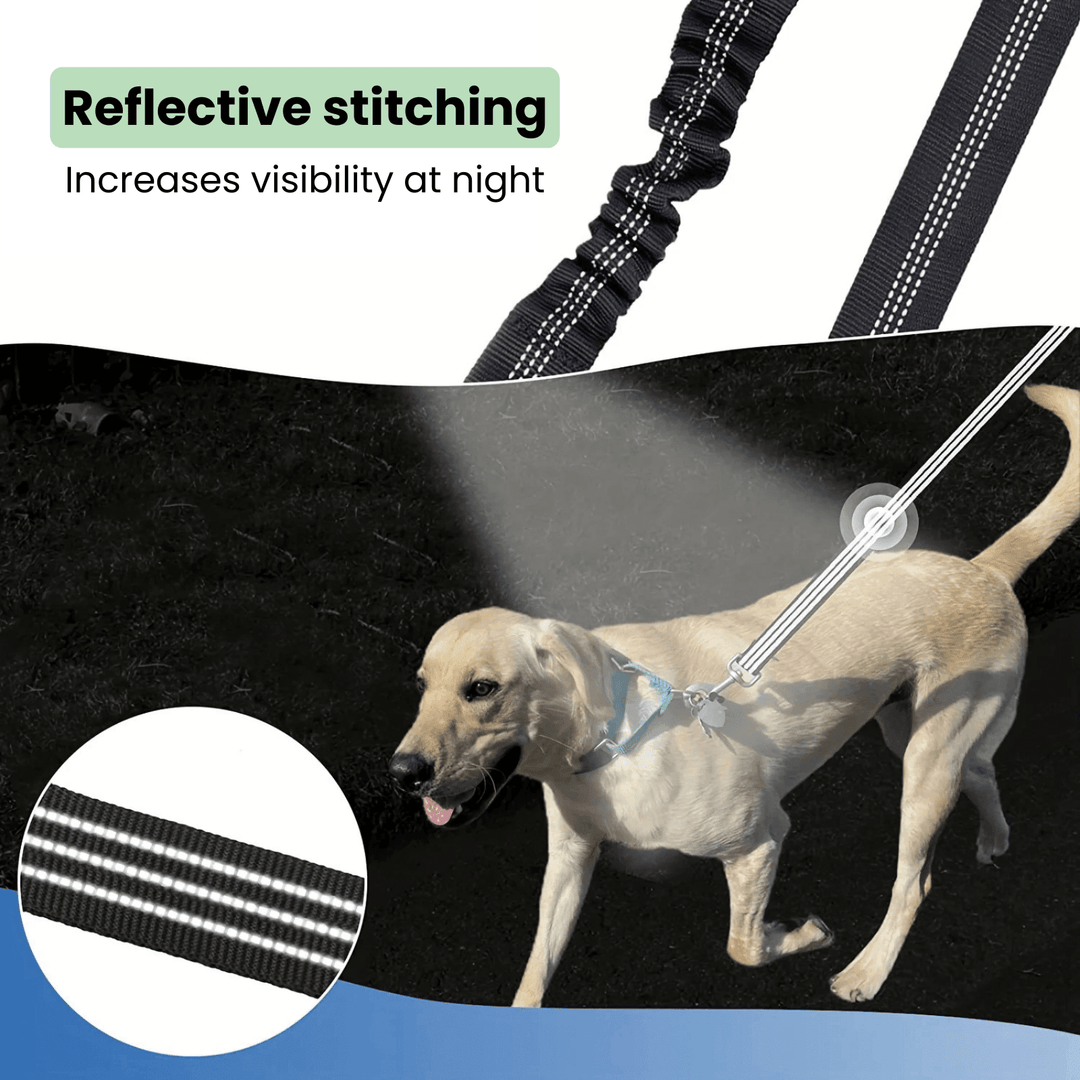 Double Dog Leash - Shock Absorbing - Pawtique
