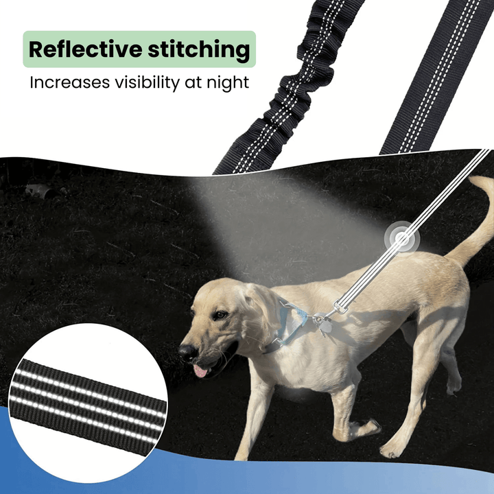 Double Dog Leash - Shock Absorbing - Pawtique
