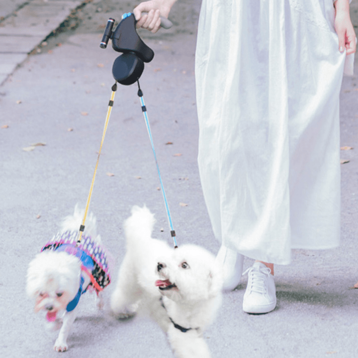 Double Flexi Belt - Pawtique