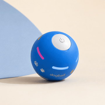 DuraSpin™ Self-Rolling Interactive Dog Ball - Pawtique