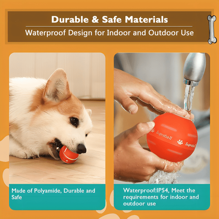 DuraSpin™ Self - Rolling Interactive Dog Ball - Pawtique
