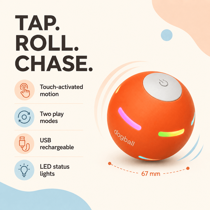 DuraSpin™ Self-Rolling Interactive Dog Ball - Pawtique