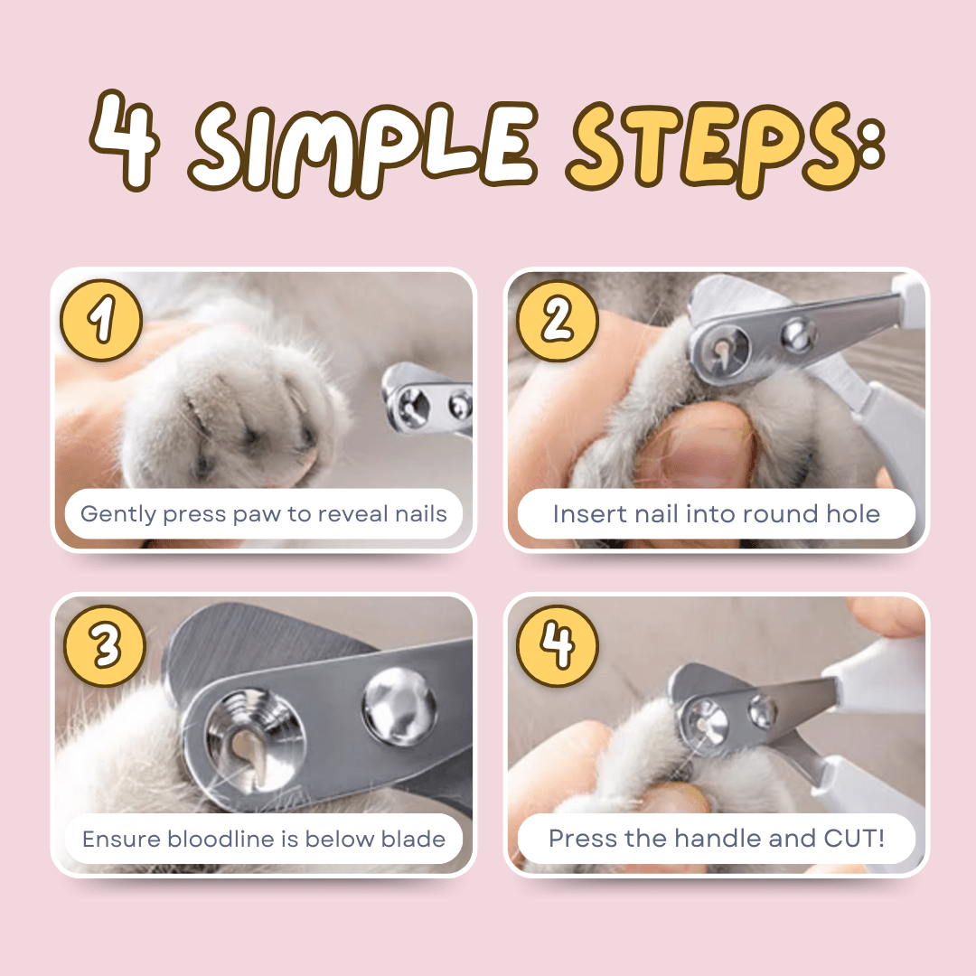 Easy Nail Trimmer - Pawtique