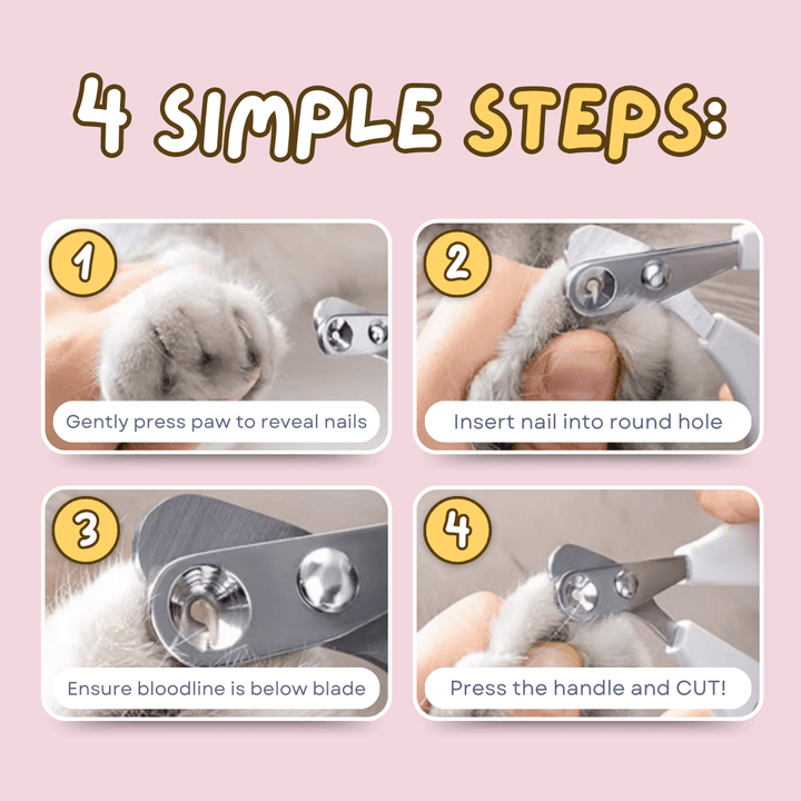 Easy Nail Trimmer - Pawtique