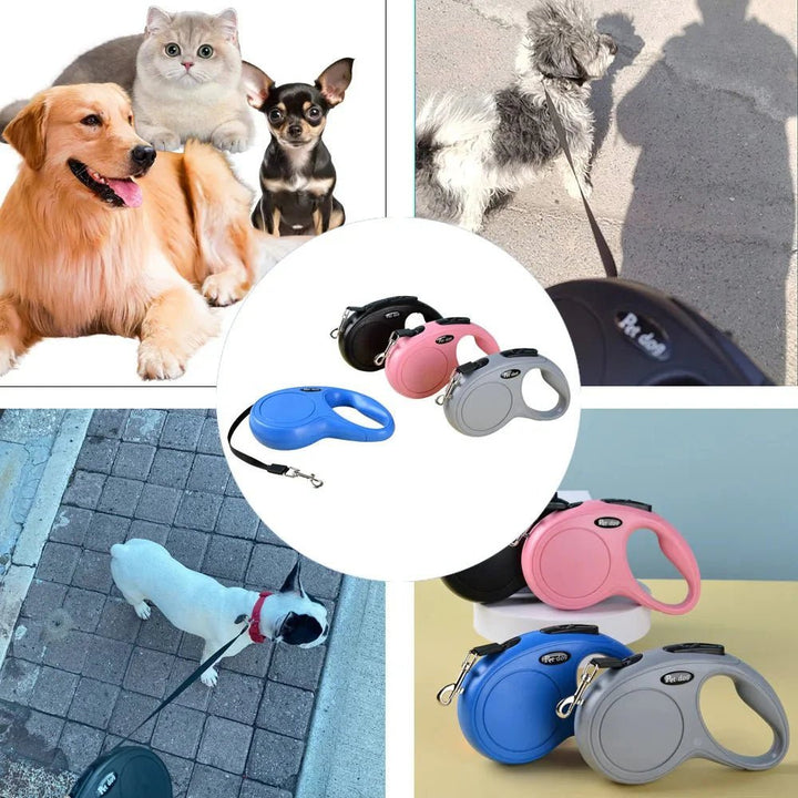 Extendable Dog Leash - Flexi Leash - Pawtique