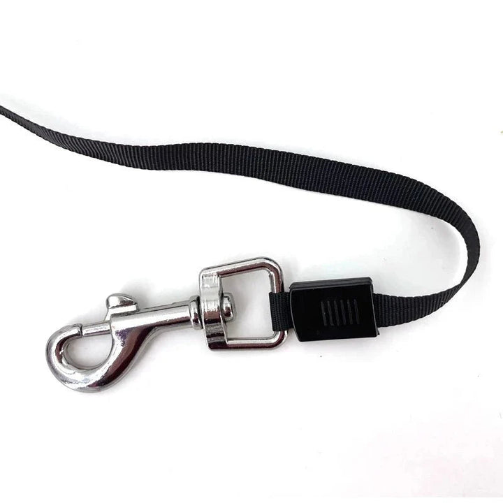 FlexiLoop – Automatic Retractable Dog Leash 3M/5M - Pawtique