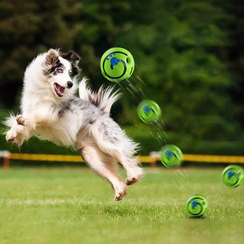 Glow Ball Interactive Dog Attention Toy Fun Sounds Ball - Pawtique