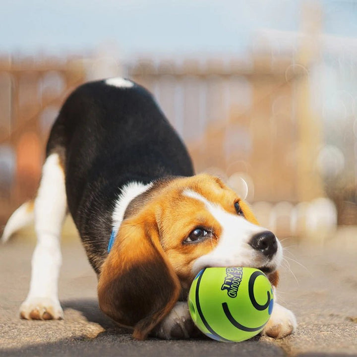 Glow Ball Interactive Dog Attention Toy Fun Sounds Ball - Pawtique