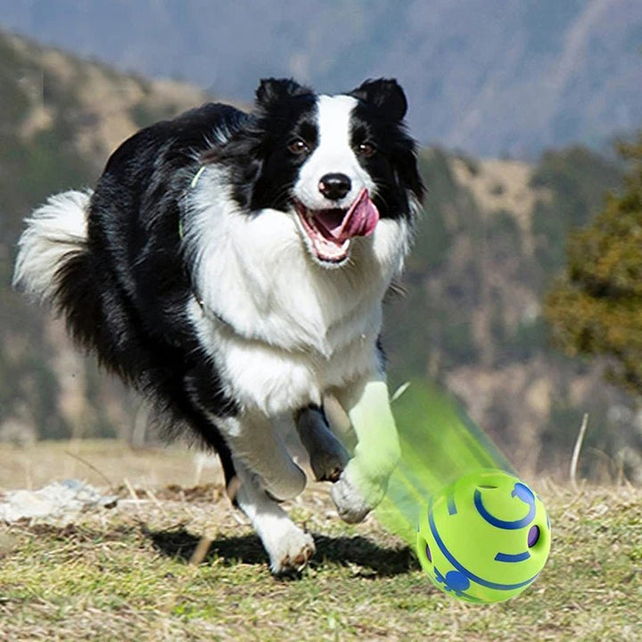 Glow Ball Interactive Dog Attention Toy Fun Sounds Ball - Pawtique