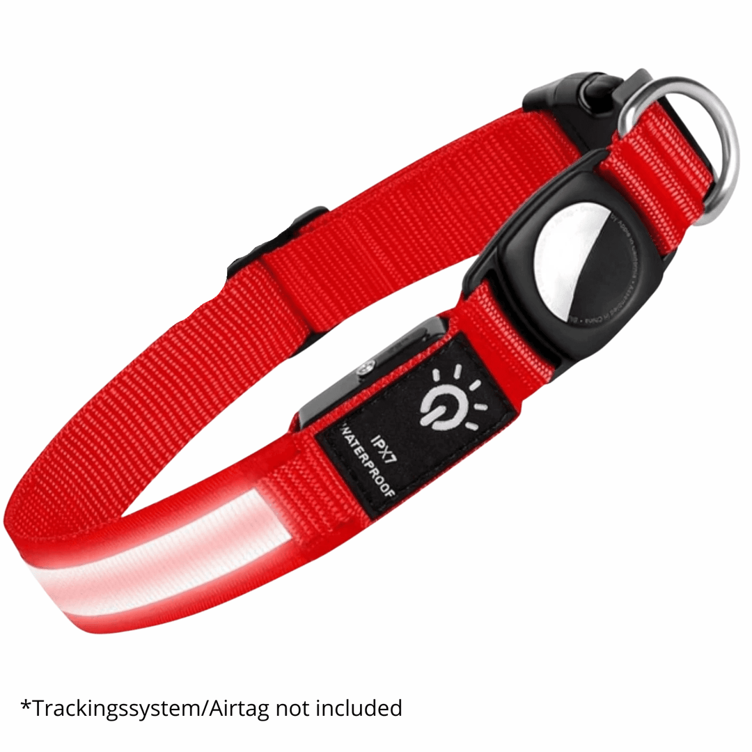 GlowTrack Airtag Dog Collar - Pawtique