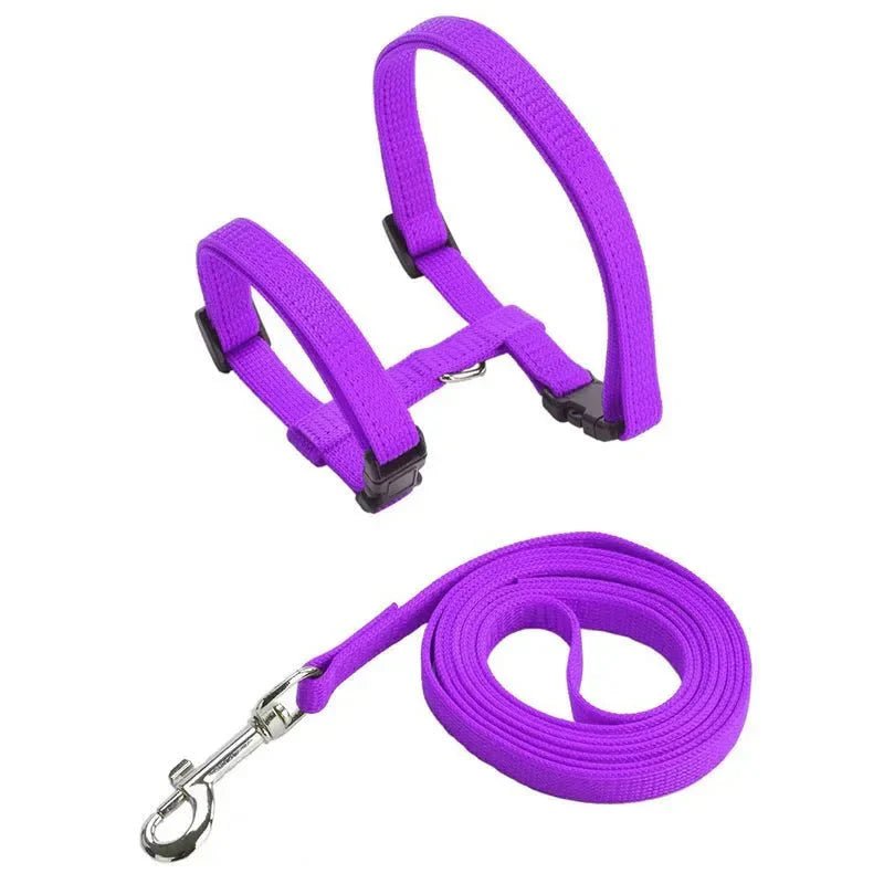 H - shaped harness with leash - Pawtique