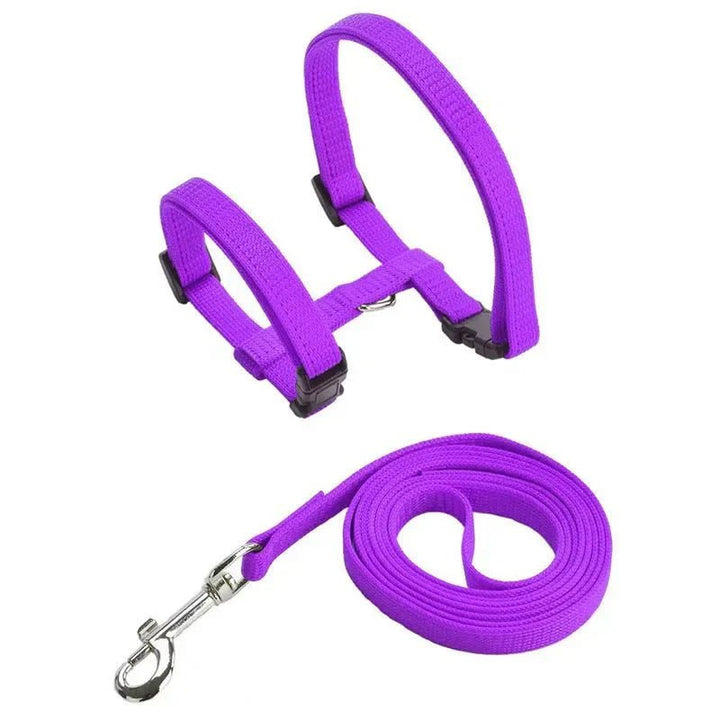 H - shaped harness with leash - Pawtique