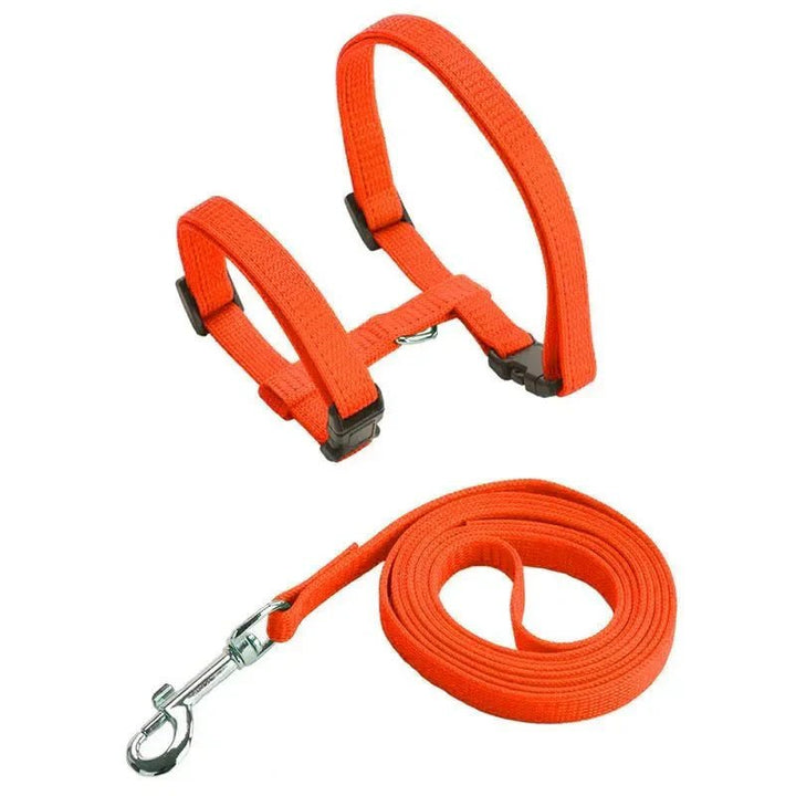 H - shaped harness with leash - Pawtique