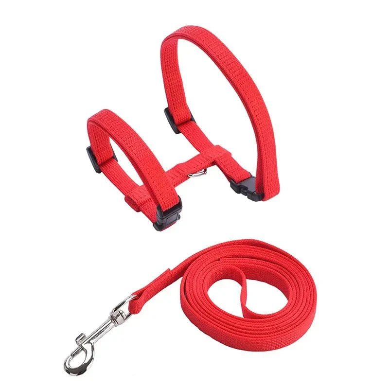H - shaped harness with leash - Pawtique