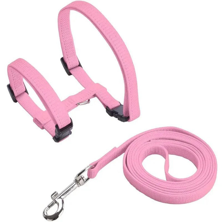 H - shaped harness with leash - Pawtique
