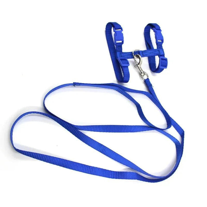 H - shaped harness with leash - Pawtique