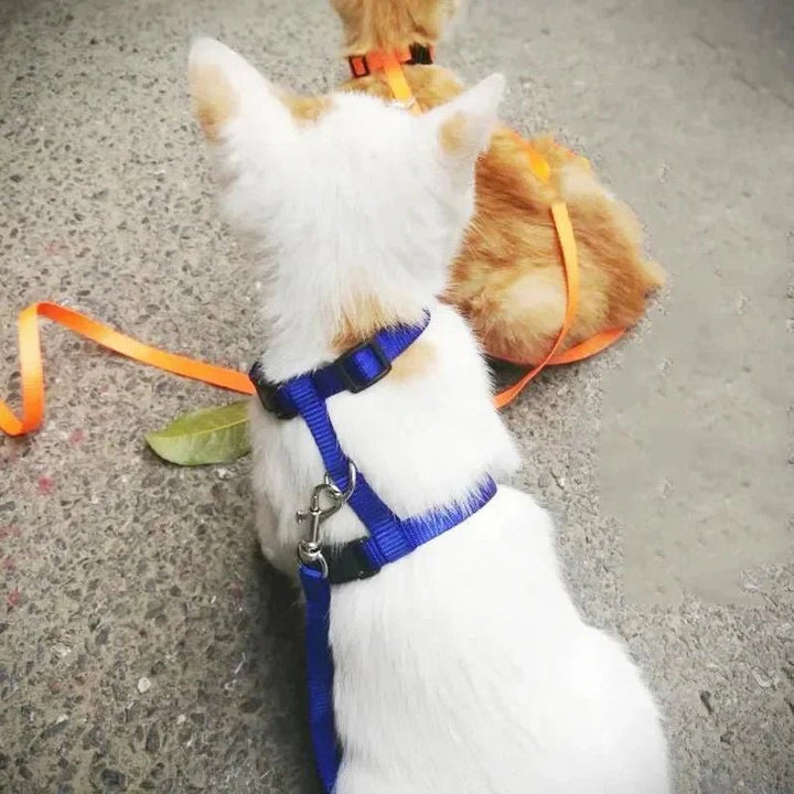 H - shaped harness with leash - Pawtique