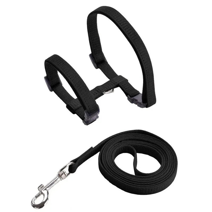 H - shaped harness with leash - Pawtique