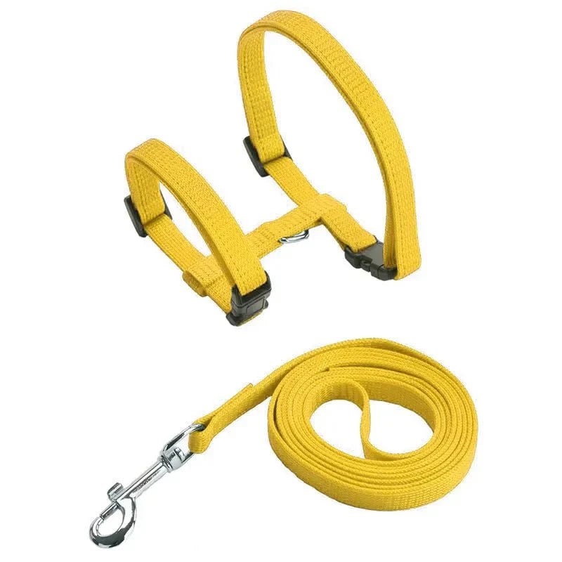 H - shaped harness with leash - Pawtique