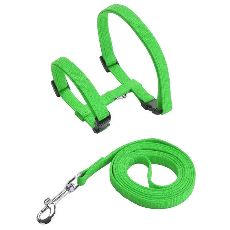 H - shaped harness with leash - Pawtique