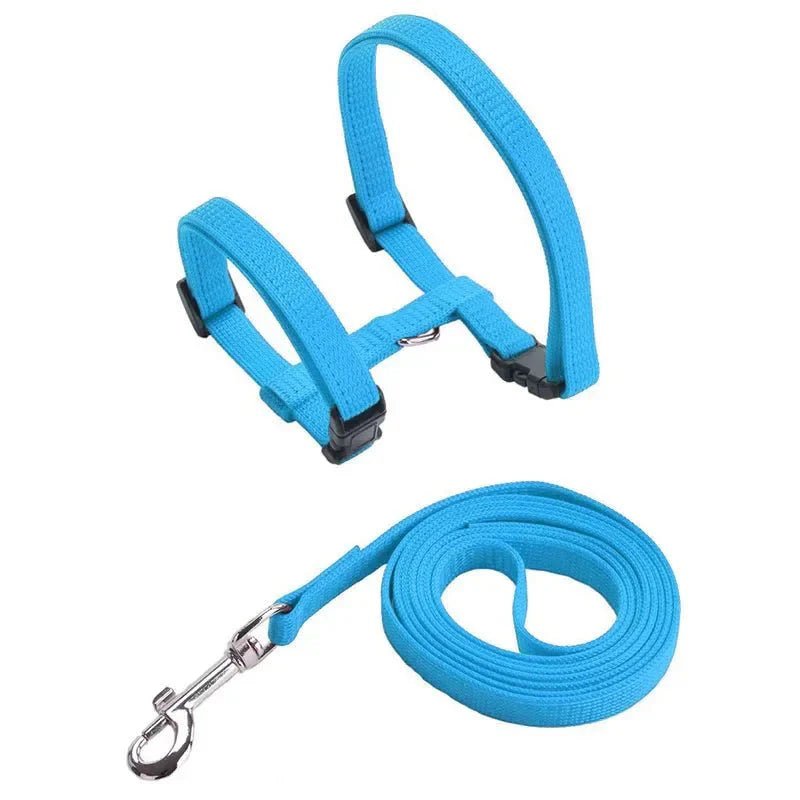 H - shaped harness with leash - Pawtique