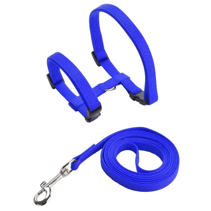 H - shaped harness with leash - Pawtique