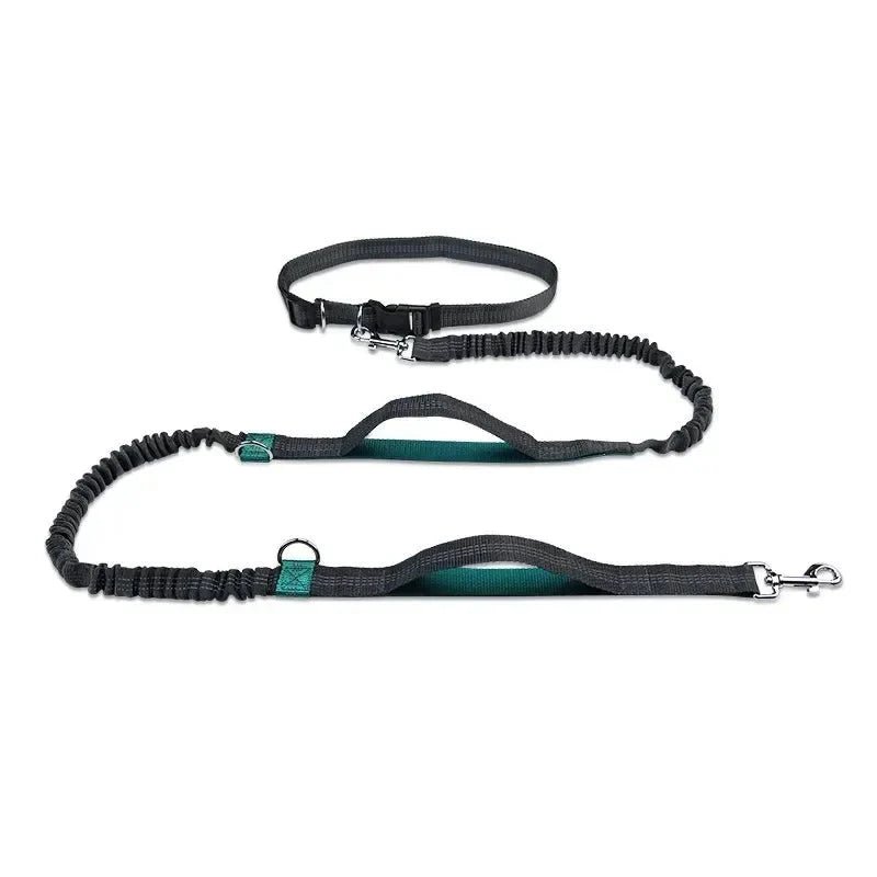 Hands Free Dog Leash – Hip Belt for Running & Walking - Pawtique