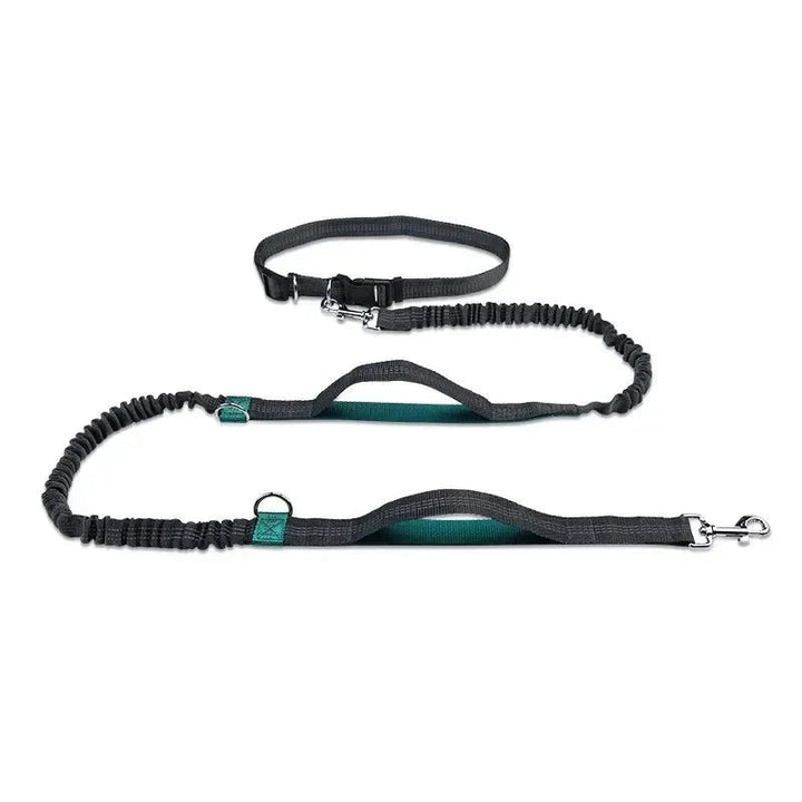 Hands Free Dog Leash – Hip Belt for Running &amp; Walking - Pawtique
