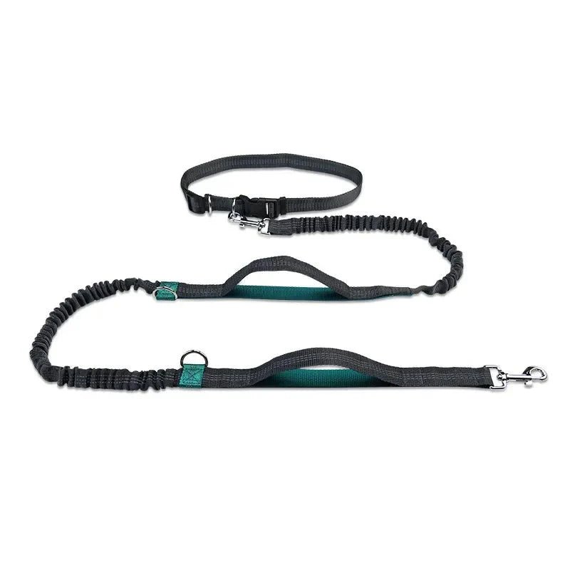 Hands Free Dog Leash – Hip Belt for Running &amp; Walking - Pawtique