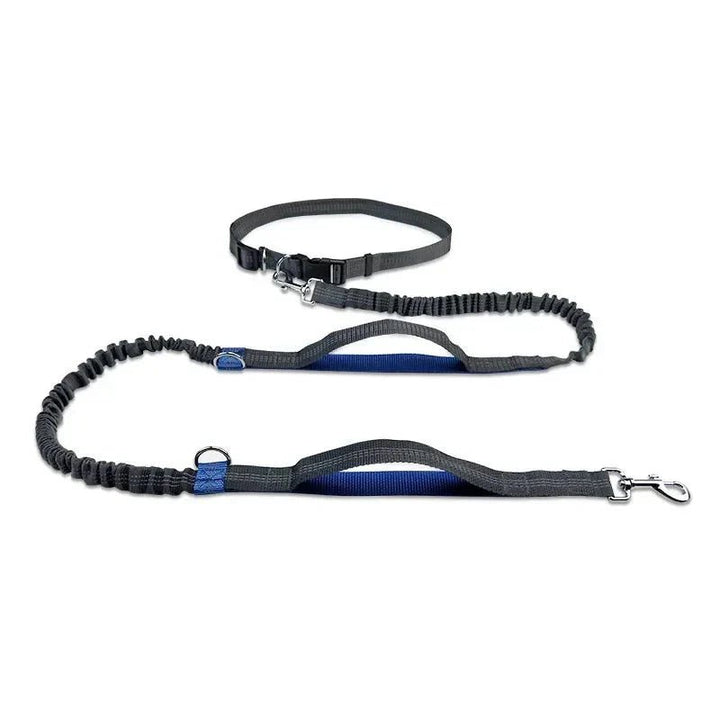 Hands Free Dog Leash – Hip Belt for Running &amp; Walking - Pawtique