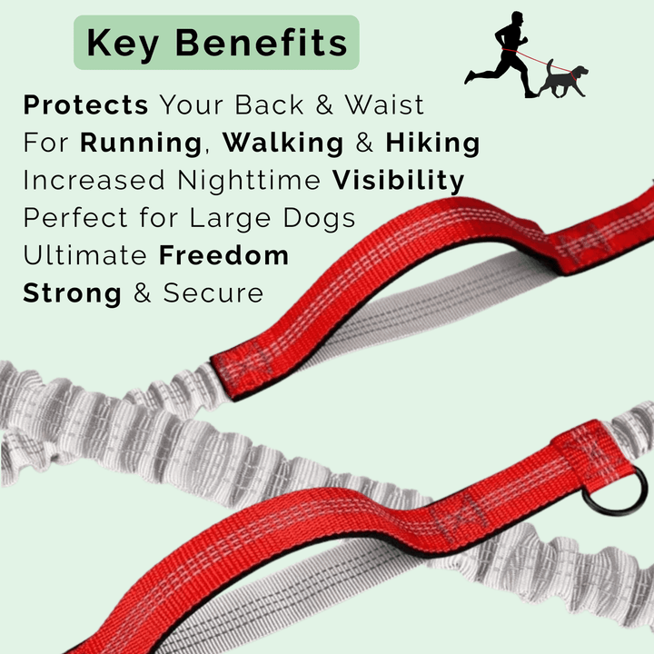 Hands Free Dog Leash – Hip Belt for Running &amp; Walking - Pawtique
