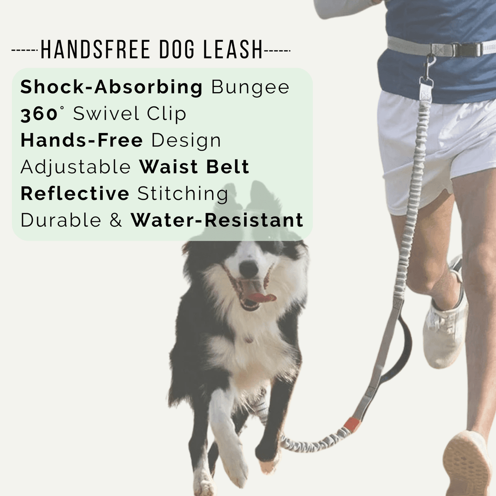 Hands Free Dog Leash – Hip Belt for Running & Walking - Pawtique