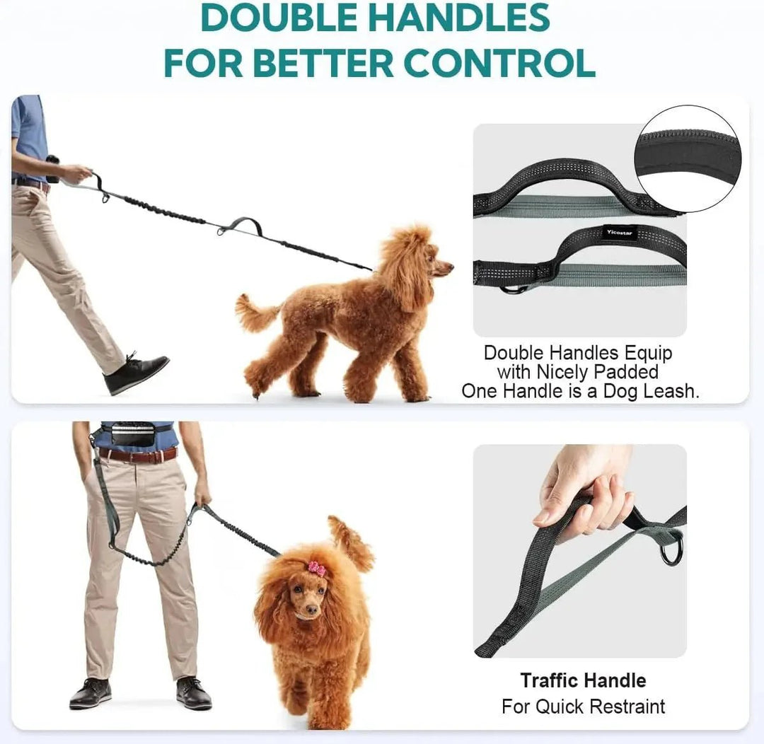 Hands - free Dog Leash with Storage Pouch - Pawtique