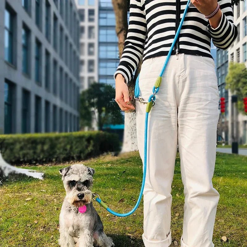 Hands Free Leash with Chain - Pawtique