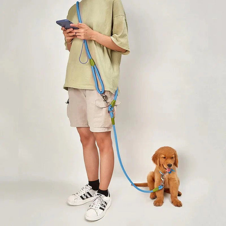 Hands Free Leash with Chain - Pawtique