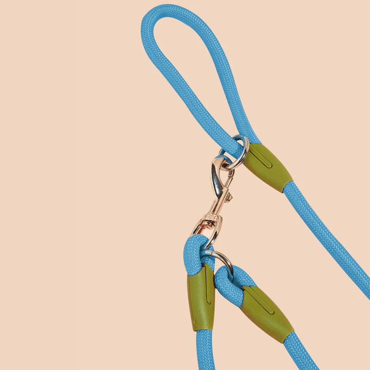 Hands Free Leash with Chain - Pawtique