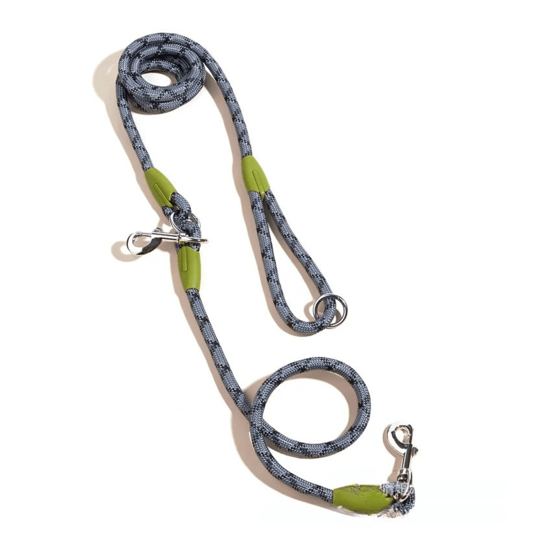 Hands Free Leash with Chain - Pawtique
