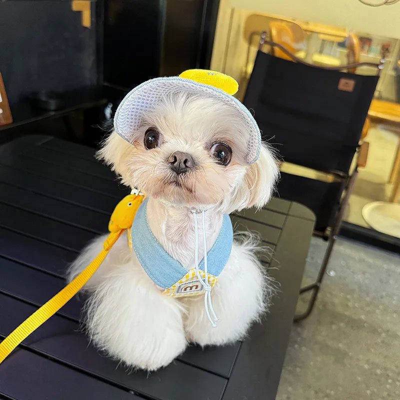 Harness Leash Set for Small Mid Dogs Cat - Pawtique