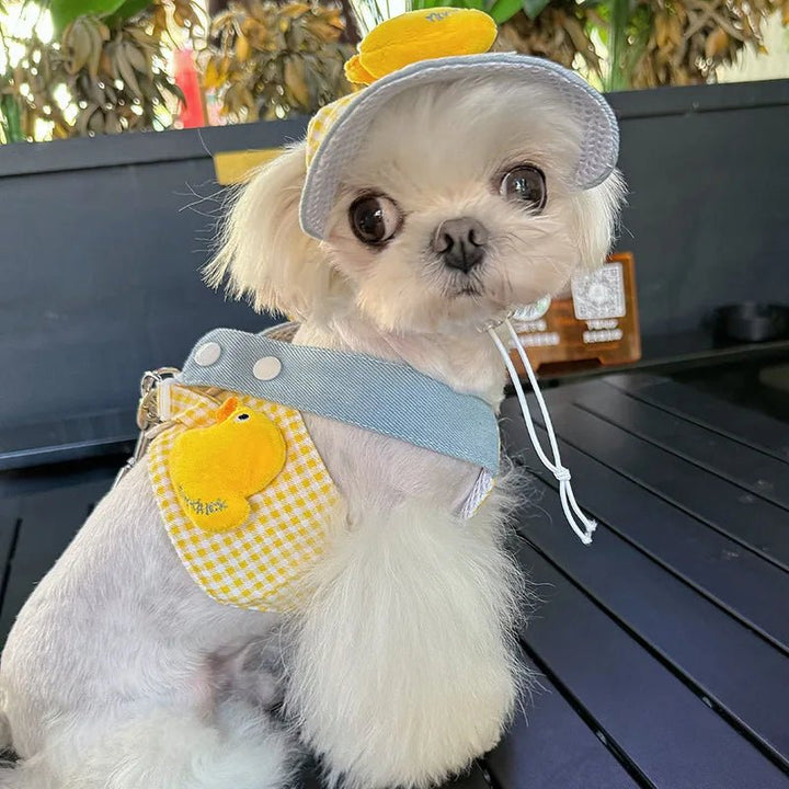 Harness Leash Set for Small Mid Dogs Cat - Pawtique