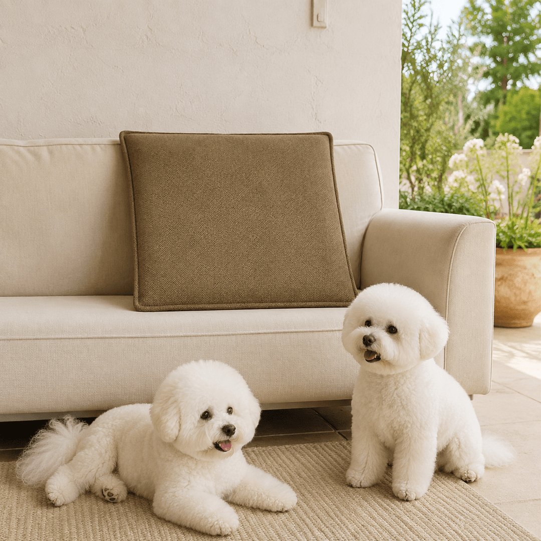 HerringboneGuard Water-Repellent Chenille Sofa Protector - Pawtique