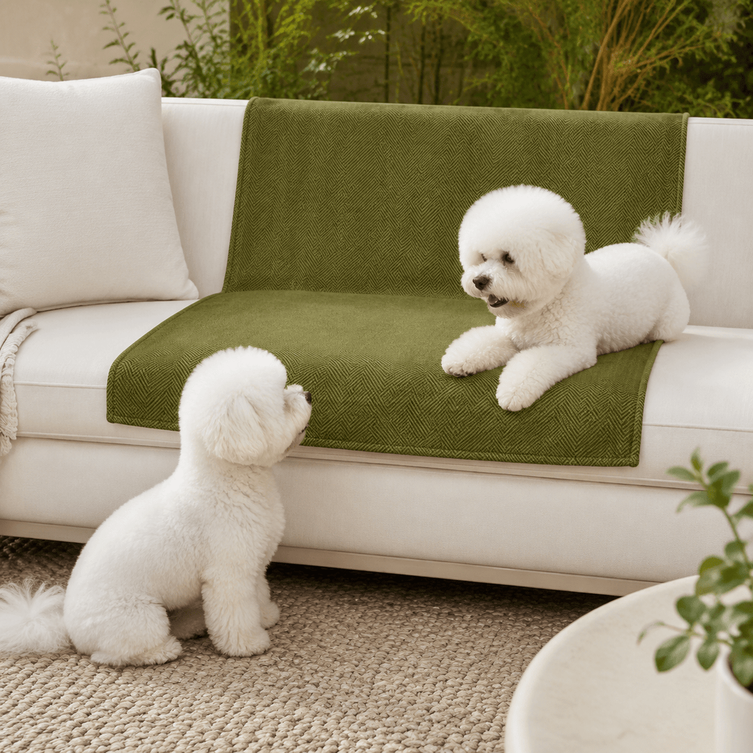 HerringboneGuard Water-Repellent Chenille Sofa Protector - Pawtique
