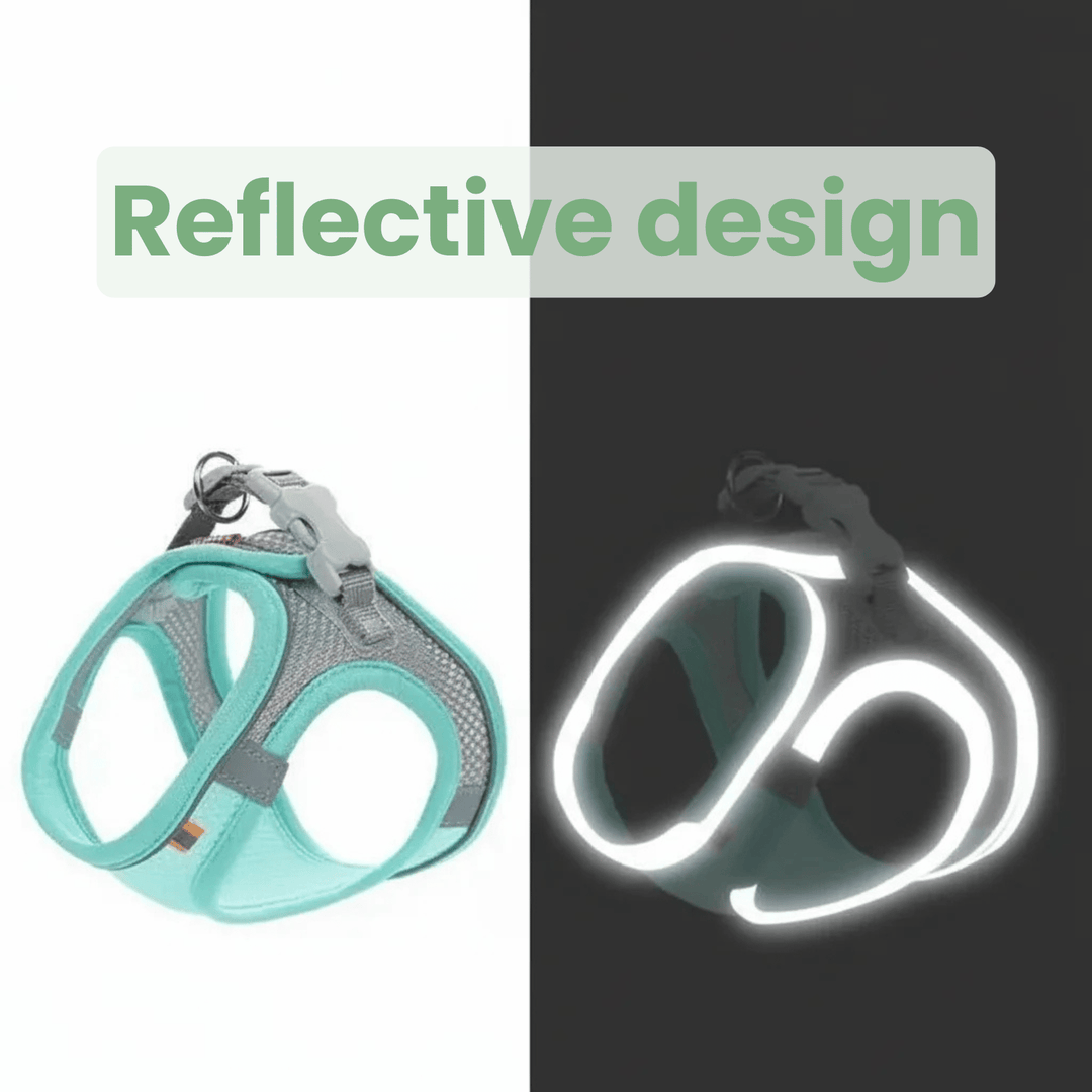 Breathable Dog Harness – Adjustable Harness for Cats & Dogs