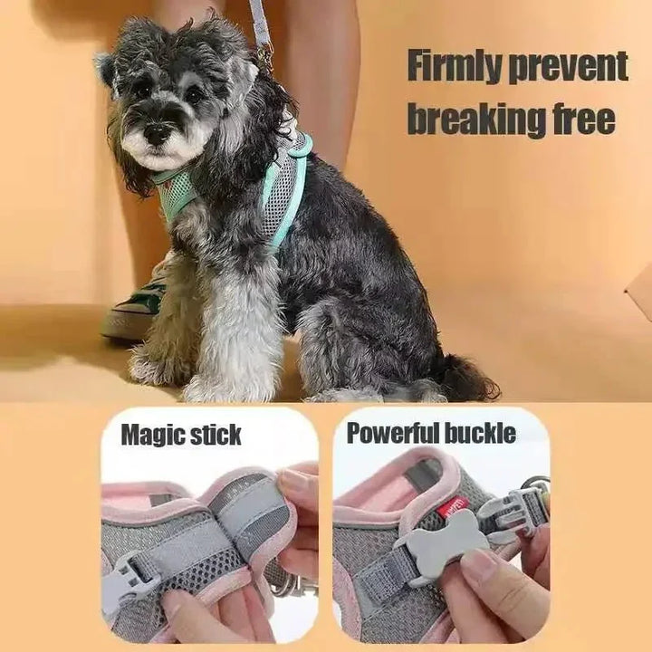 Breathable Dog Harness – Adjustable Harness for Cats & Dogs