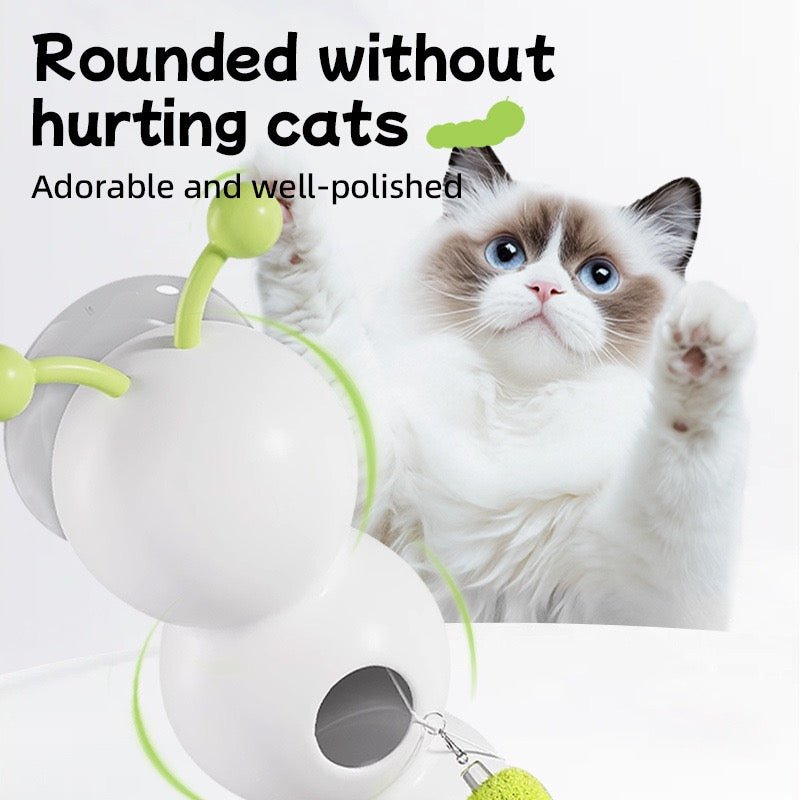 Interactive Cat Teaser Wall Toy - Pawtique