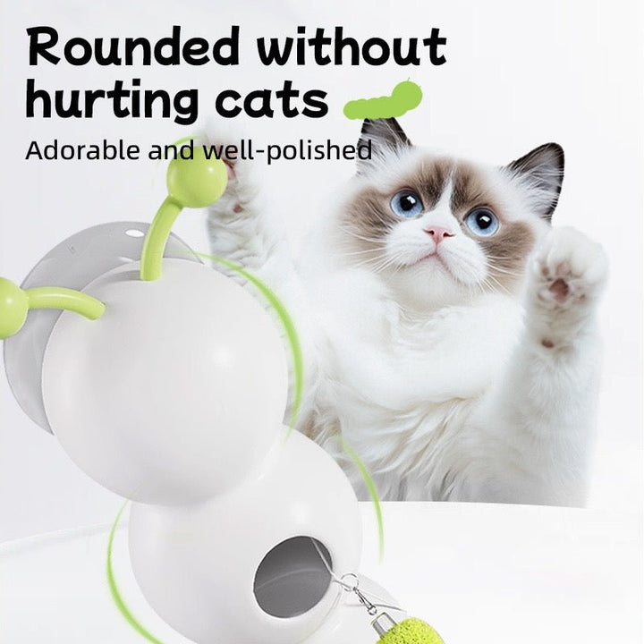 Interactive Cat Teaser Wall Toy - Pawtique