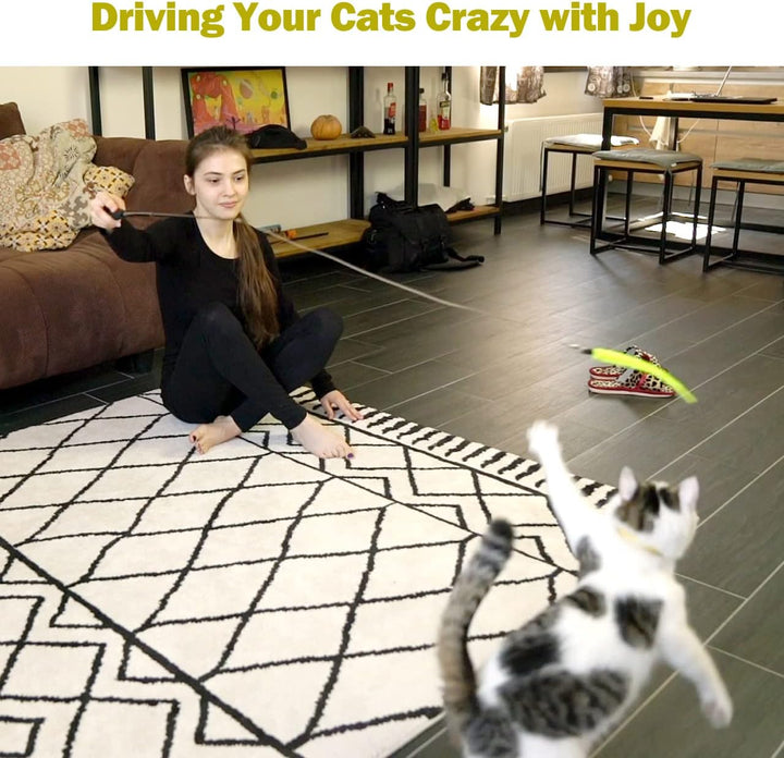 Interactive Feather Wand Cat Toy Set - Pawtique