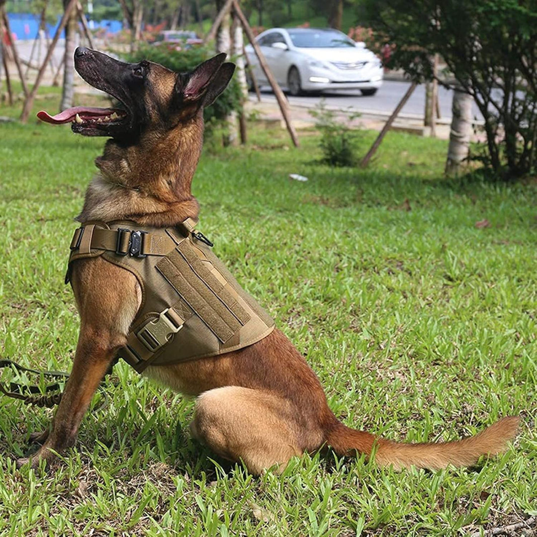 K9 Harness – Tactical Dog Harness for Dogs - Pawtique